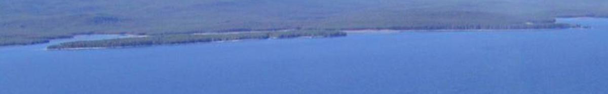 Annual Water Allocation